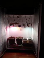 IMG_20191015_182150.jpg