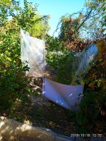 IMG-20191016-WA0018.jpg