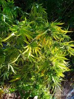 IMG-20191016-WA0012.jpg