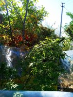 IMG-20191016-WA0008.jpg