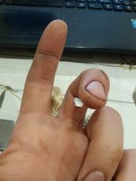 20191016_201314.jpg