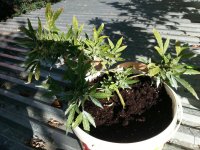 photo_2019-10-15_10-29-57 (2).jpg