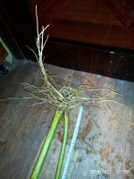 2019-10-22_23-23-41_937.jpg