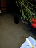 2019-10-22_23-28-57_207.jpg