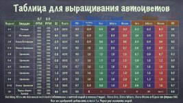 6111440A-8F28-426F-B9CC-940B37077EA2.jpeg