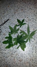 photo_2019-10-24_00-06-18 (2).jpg