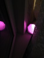 IMG_5082.JPG