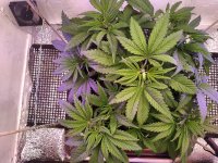 IMG_20191024_194135_DRO.jpg