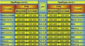 таблица кормления ппм.jpg