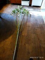 2019-10-27_22-27-13_807.jpg