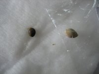 IMG_5959.JPG