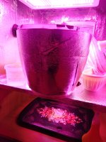 IMG_20191029_181112.jpg