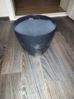 IMG_20191030_204049.jpg