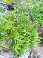 IMG_20191029_082738.jpg
