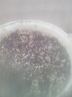 IMG_20191031_140048.jpg