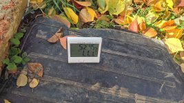 IMG_20191101_121711.jpg