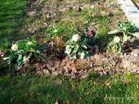 2019-11-01_20-11-39_976.jpg