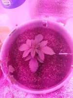 IMG_20191104_111934.jpg
