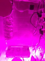 IMG_20191028_183908.jpg