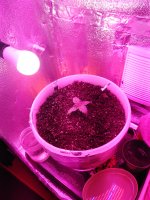 IMG_20191029_095931.jpg