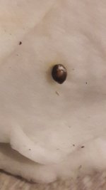 20191107_205501.jpg