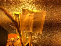 3A19D9E2-B430-45C0-B60C-9CEA6C5DF781.jpeg