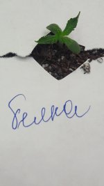 20191110_233208.jpg