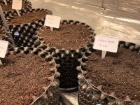 IMG_5955[1].JPG