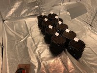 IMG_5954[1].JPG