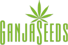 logo-main.png