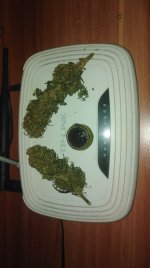 IMG-20191110-WA0010.jpg