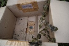 01_k2-(09).jpg