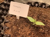 B5FEED7D-7FCC-4C57-A792-89BD89F9BA35.jpeg