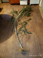 IMG_20191115_171851.jpg
