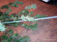 IMG_20191115_171934.jpg
