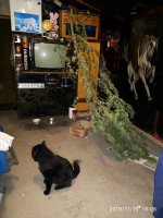 IMG_20191115_180654.jpg