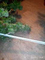 IMG_20191107_184622.jpg