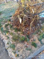 IMG_20191117_085852.jpg