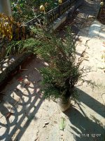 IMG_20191108_120748.jpg