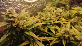 photo_2019-11-21_12-53-15 (2).jpg