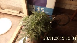 IMG_20191123_123453.jpg
