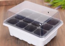 Скриншот 23-11-2019 184416.jpg