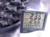 9037510C-E386-420C-83FE-738071CA3FCA.jpeg