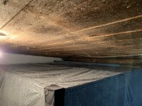 F5DF68C2-4382-4054-BAFD-6A1C8CA8FAD5.jpeg