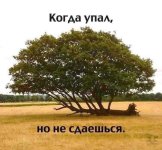 1571947479_15.jpg
