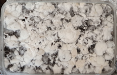 Снимок экрана 2019-11-26 в 22.54.52.png