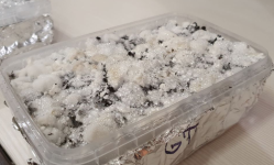 Снимок экрана 2019-11-26 в 22.57.59.png