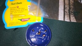 IMG_20191103_171609.jpg