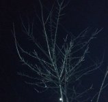 2019-11-29_224652.jpg