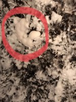 897A584F-88F1-4108-99F4-BD1885B670D0.jpeg